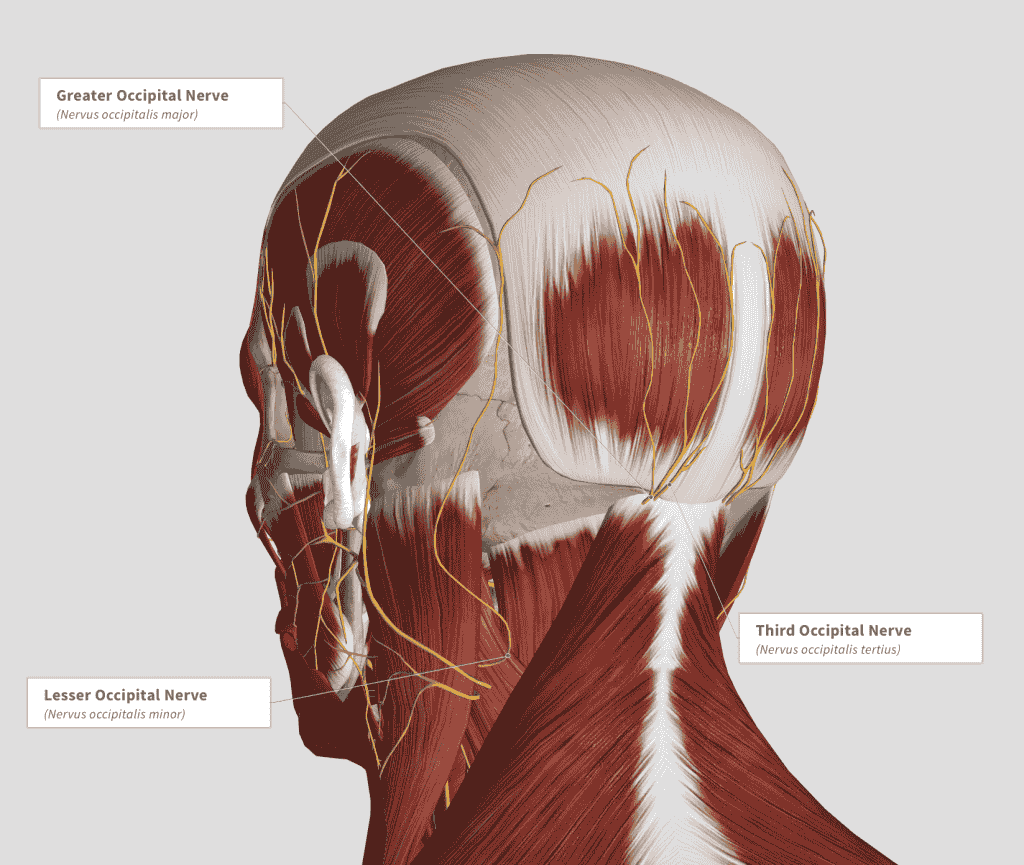 What to Expect After Botox