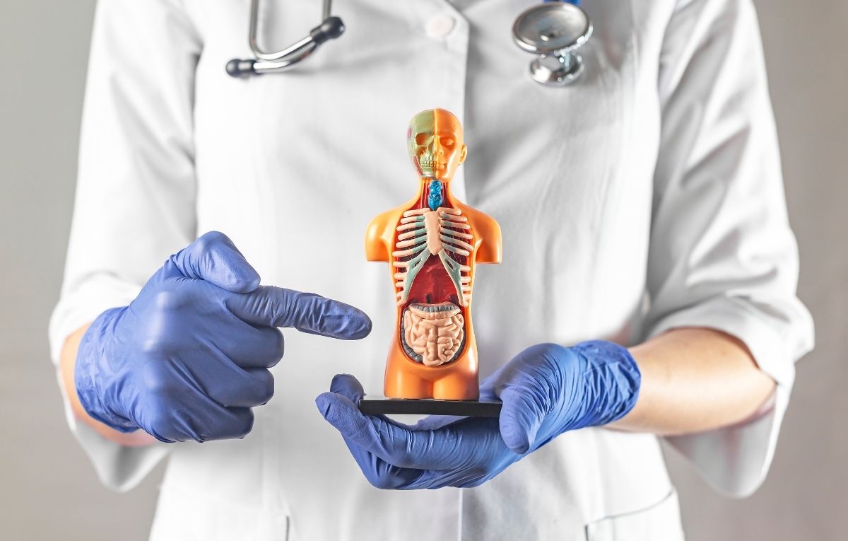 colonoscopy doctor in Los Angeles